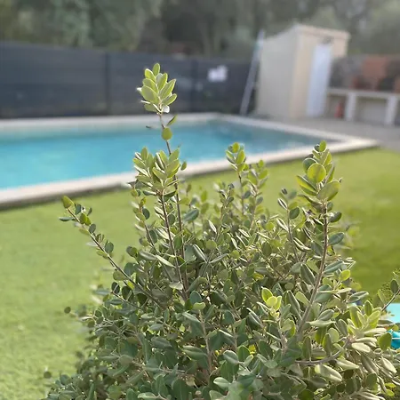 Casa L'alivetu Διαμέρισμα