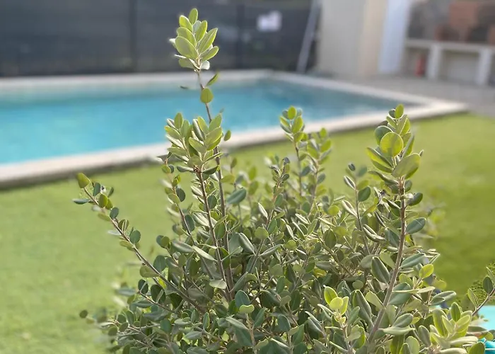 Casa L'alivetu דירה