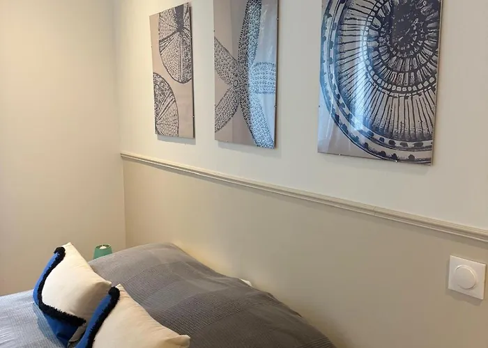 Casa L'alivetu * Vescovato