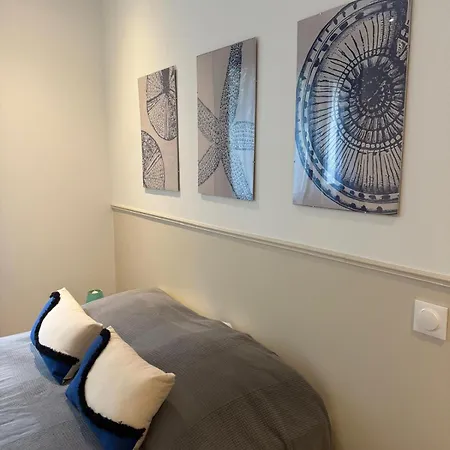 Casa L'alivetu * Vescovato