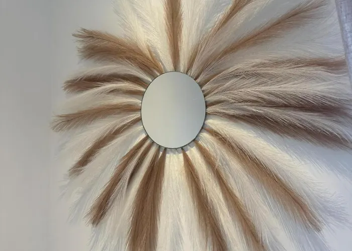 Casa L'alivetu Vescovato